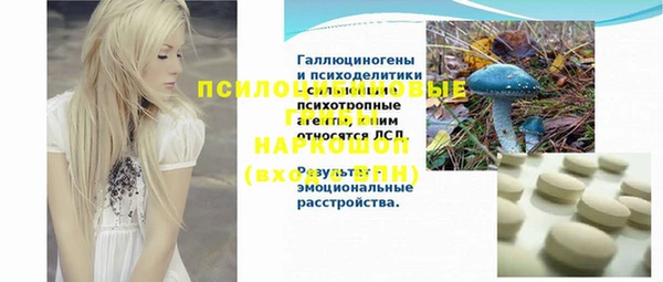 герыч Бронницы