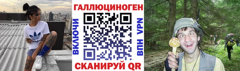 сайты даркнета Telegram Владивосток Галлюциногенные грибы прущие грибы наркота